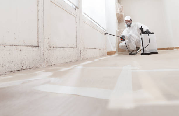 24/7 Emergency Black Mold Removal experts in Jackson, KY