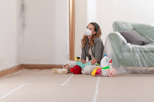Reliable Black Mold Removal contractor in Jackson, KY by WQB Mold Removal
